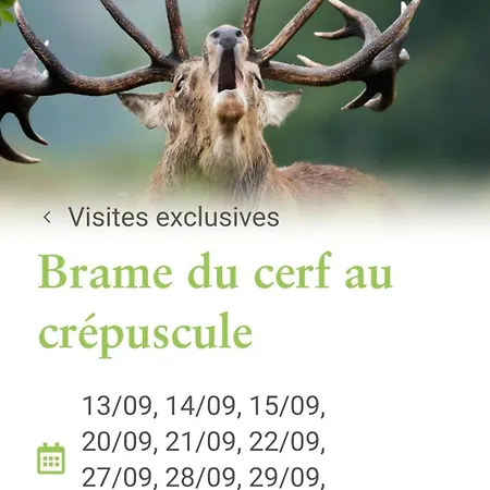 L'hote-antique 度假居 布永