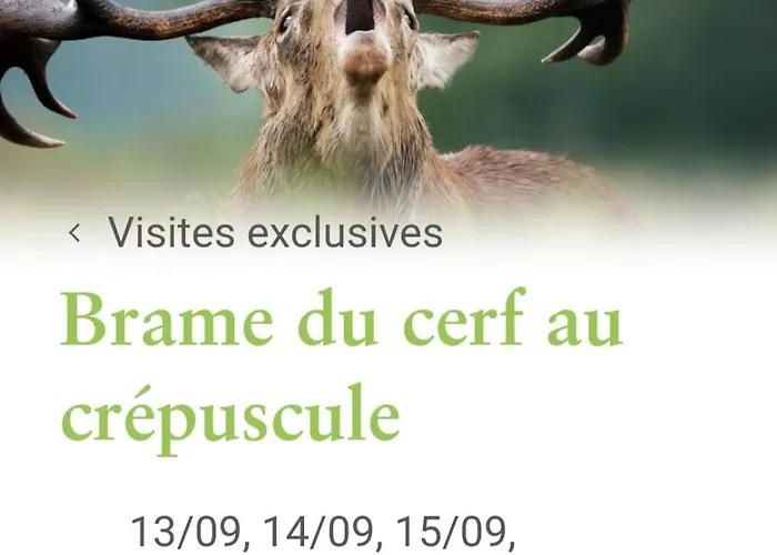 L'hôte-antique Hébergement de vacances Bouillon